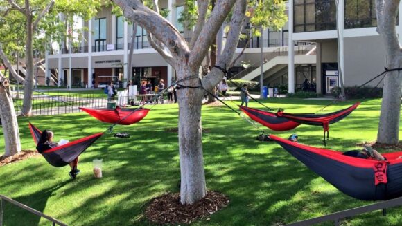 カリフォルニア州立大学ロングビーチ校 - 画像 (4)