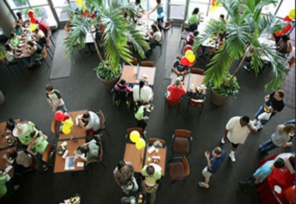 ELS ミズーリ大学セントルイス校 - 画像 (2)