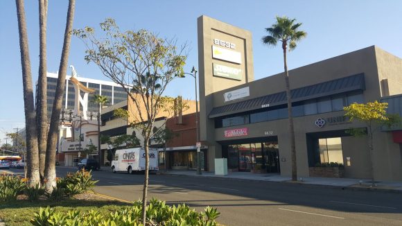 カリフォルニア州立大学ドミンゲスヒルズ付属集中英語プログラム